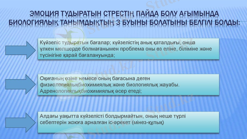 Slide 7