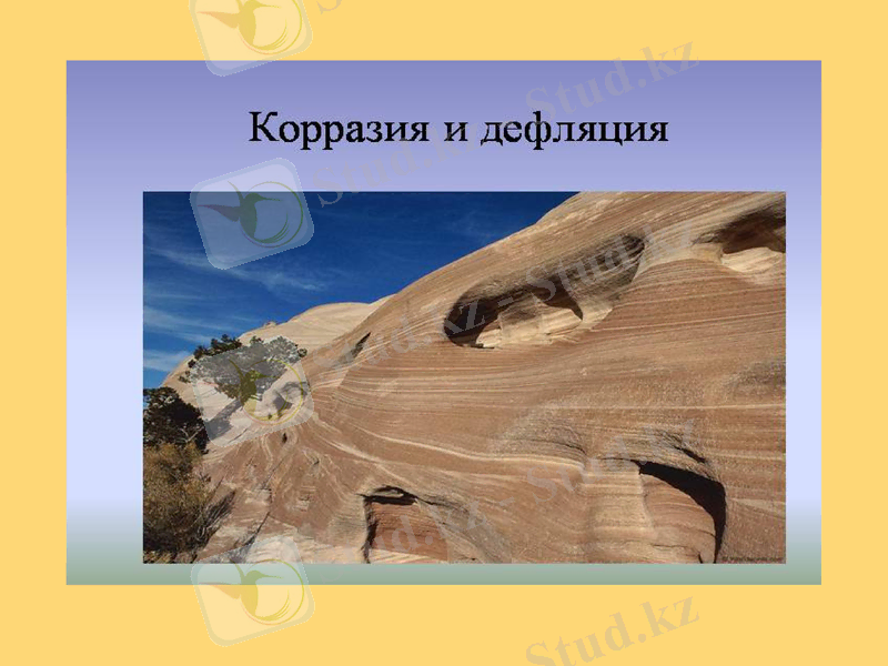 Slide 7