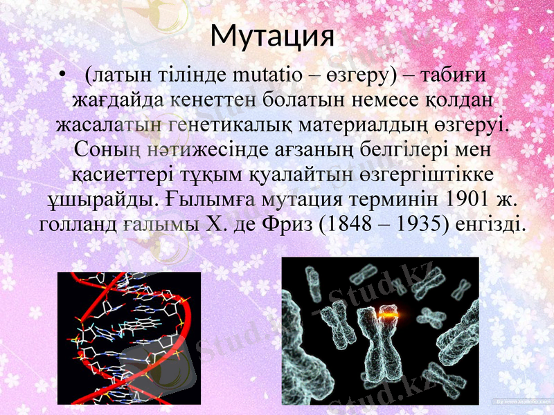 Slide 11
