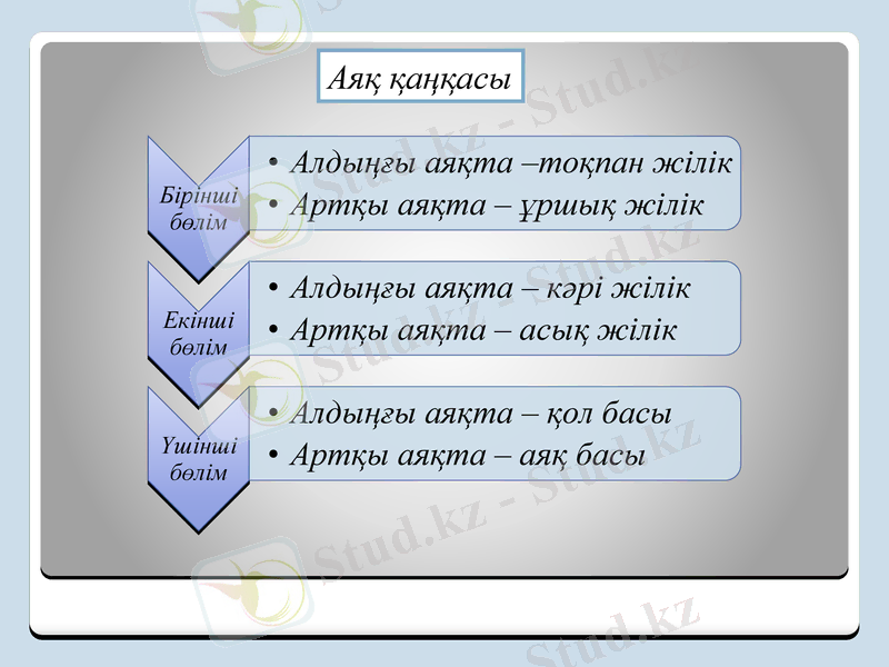 Slide 11