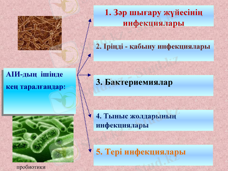 Slide 8