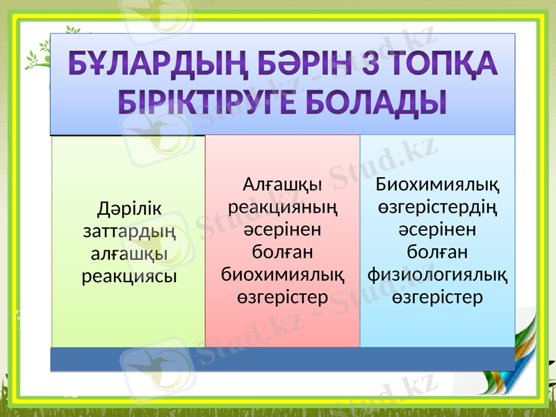 Slide 7