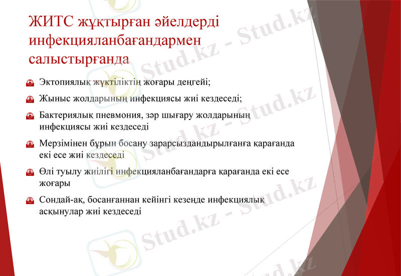 Slide 13