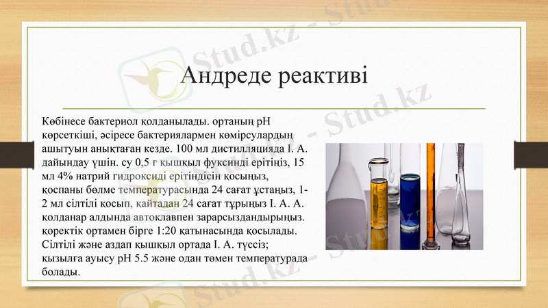 Slide 13