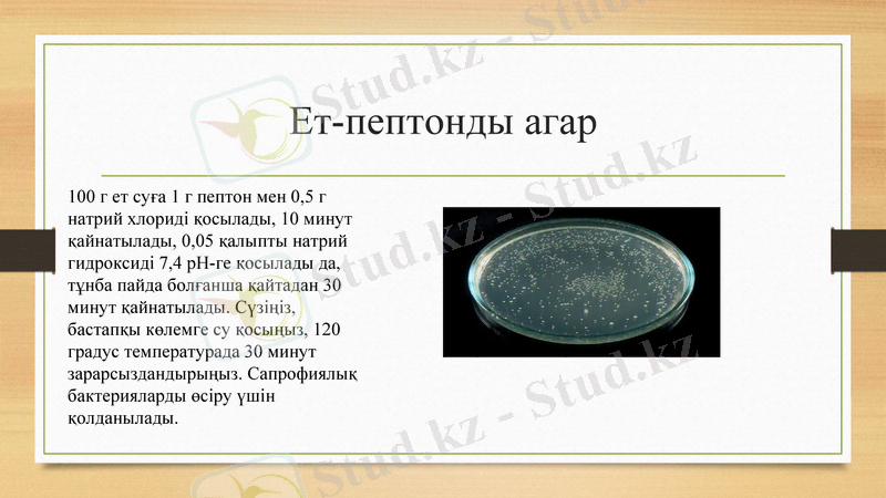 Slide 9