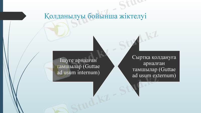 Slide 7