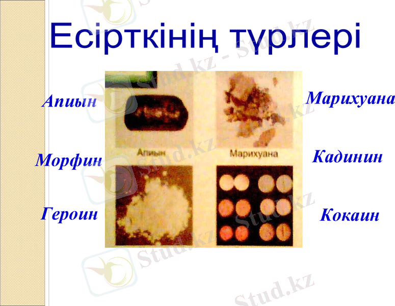 Slide 11