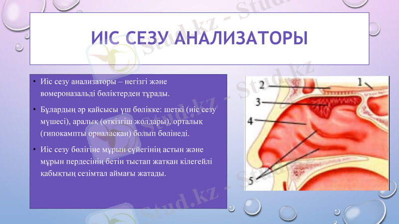Slide 12