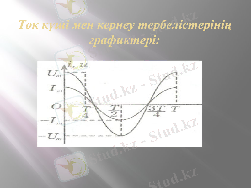 Slide 17