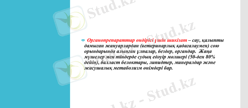Slide 7