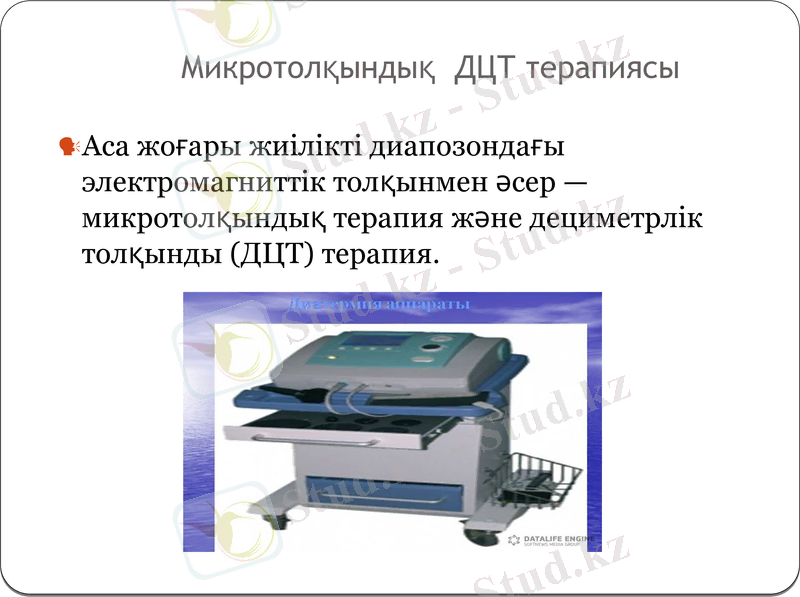 Slide 19