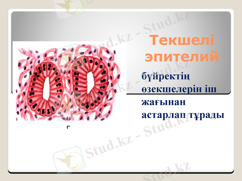 Slide 14