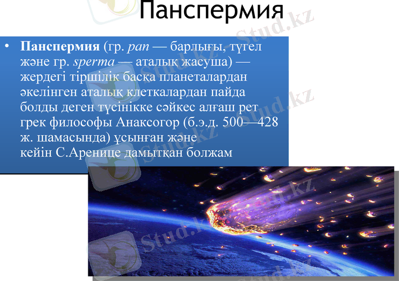 Slide 11