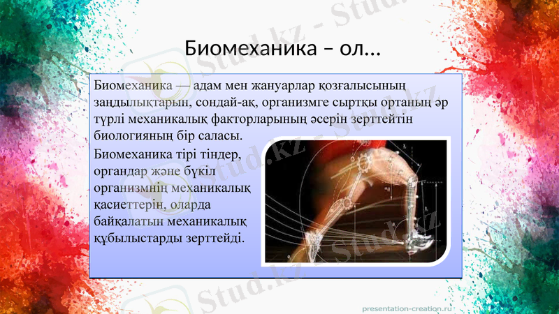 Slide 3