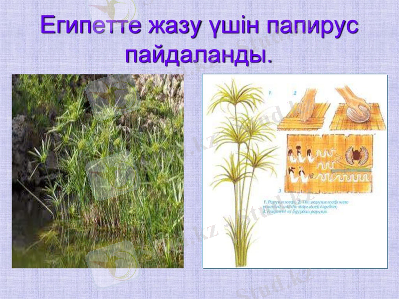 Slide 9