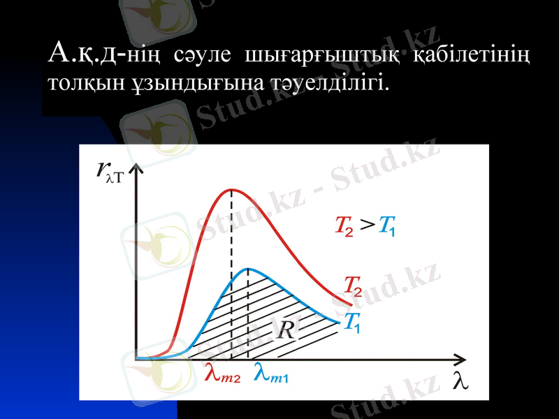 Slide 11