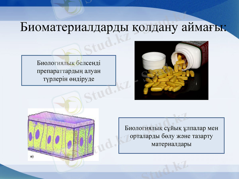 Slide 6