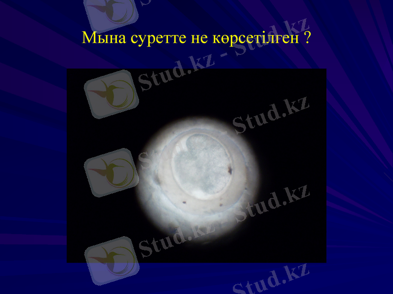 Slide 23