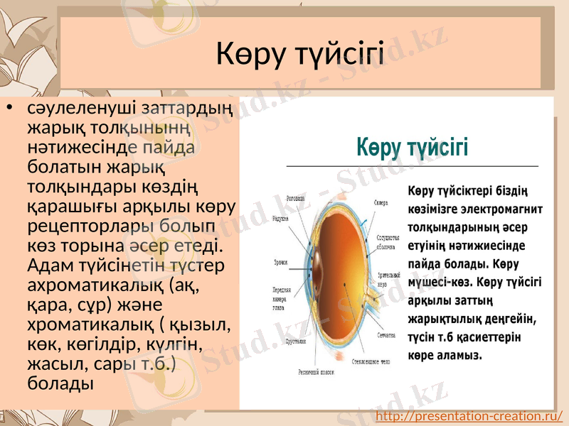 Slide 9