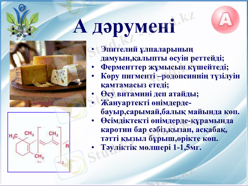 Slide 9