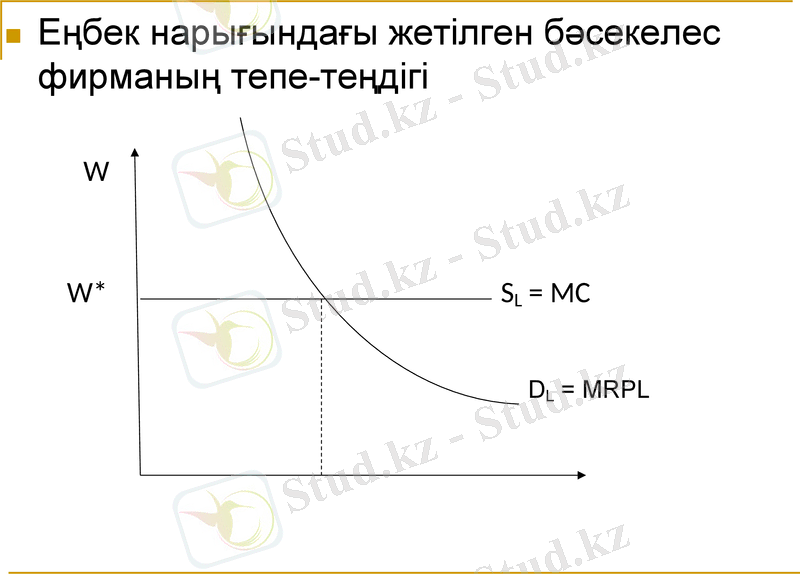 Slide 7