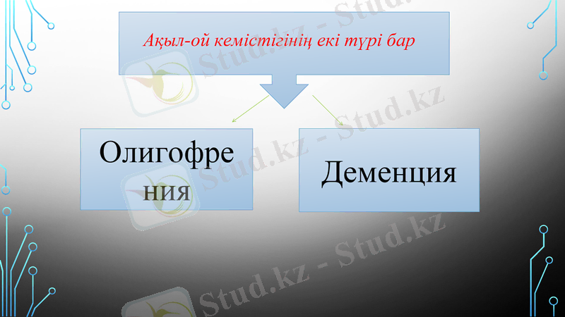 Slide 12