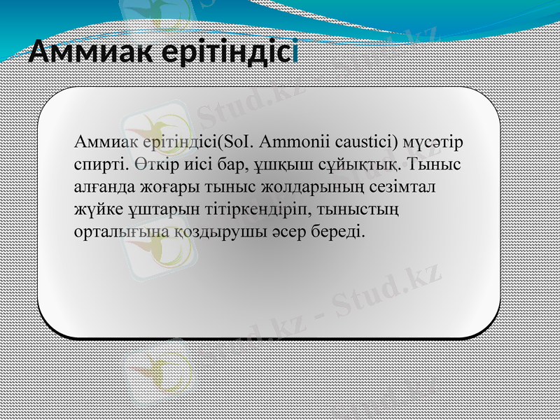 Slide 12