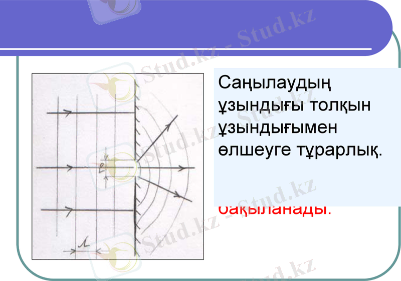 Slide 13