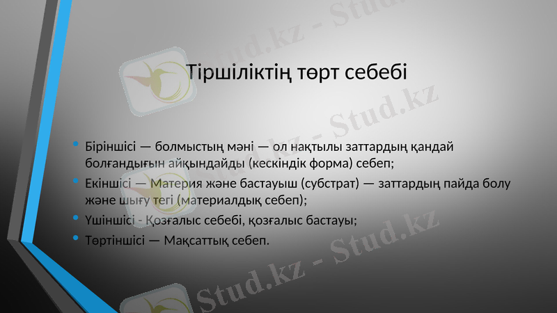 Slide 7