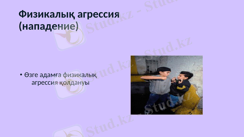 Slide 7