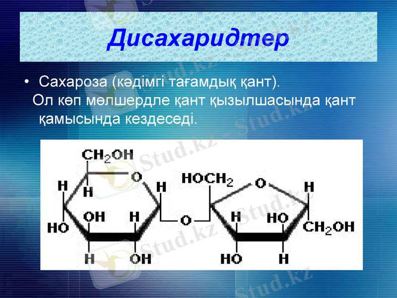 Slide 11