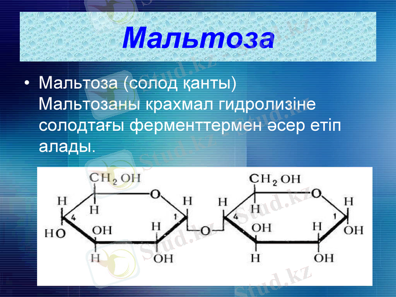 Slide 12