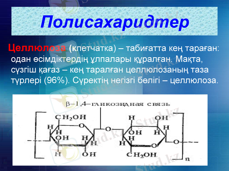 Slide 14