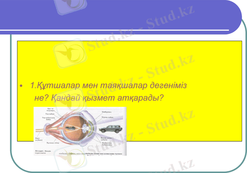 Slide 26