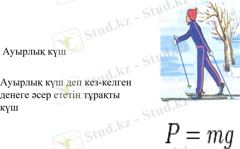 Slide 11
