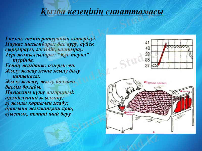 Slide 6