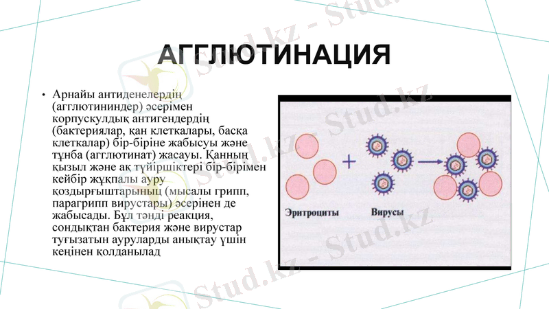 Slide 14