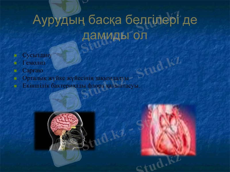 Slide 8