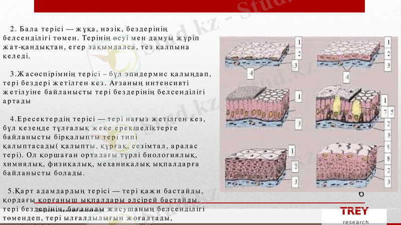 Slide 6