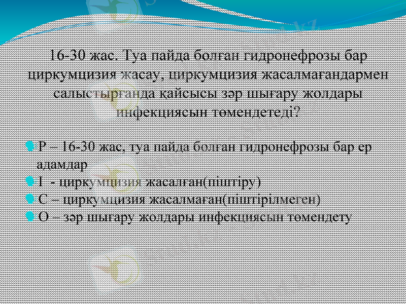 Slide 7