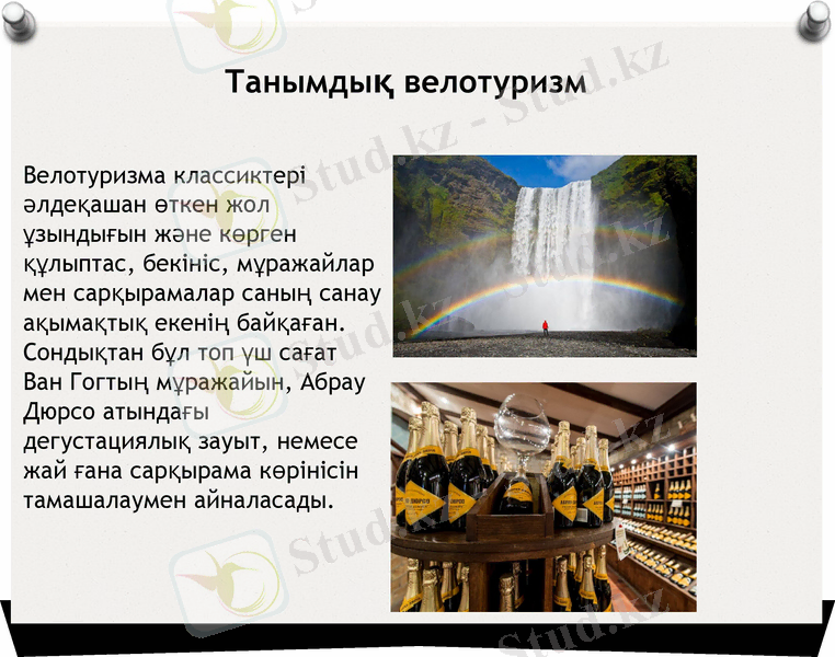 Slide 9