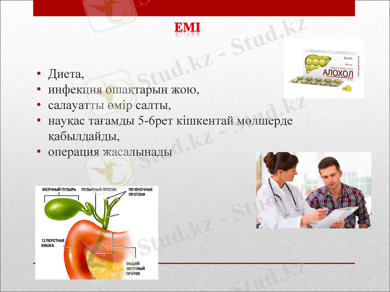 Slide 13