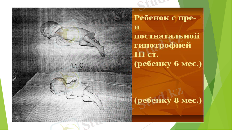 Slide 16