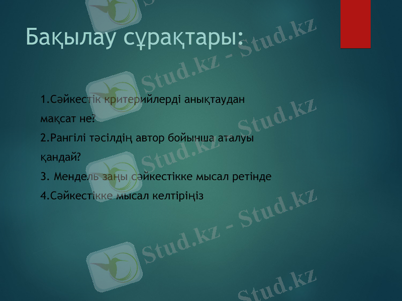Slide 24