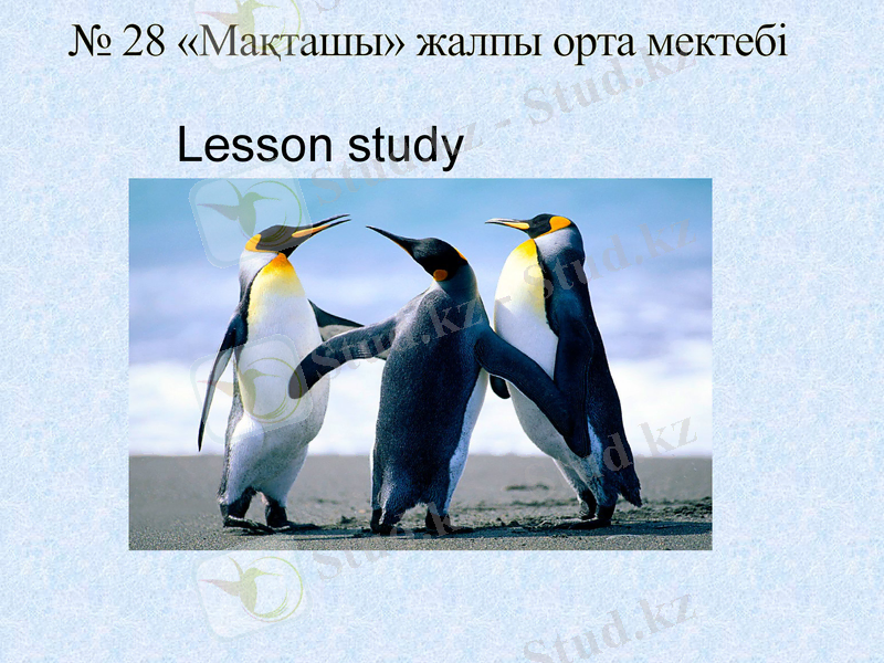 Slide 1