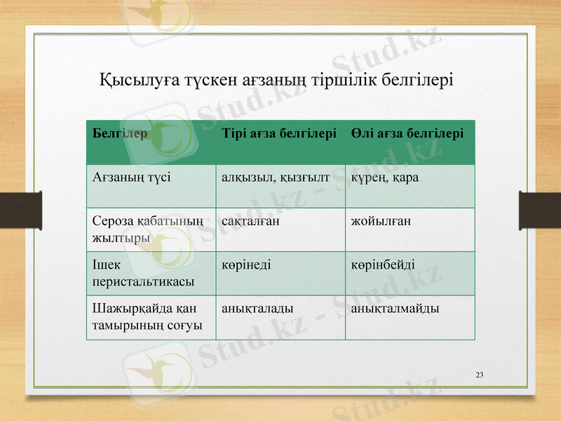 Slide 23