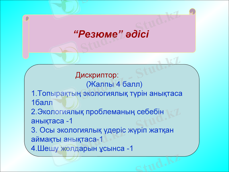 Slide 12
