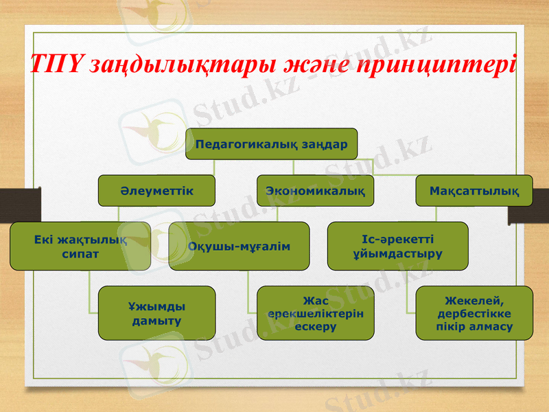 Slide 8
