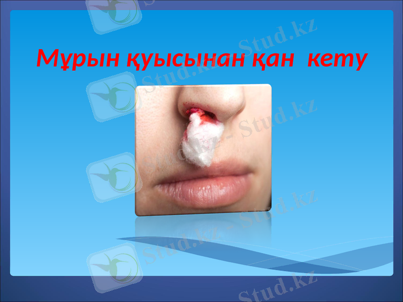 Slide 9