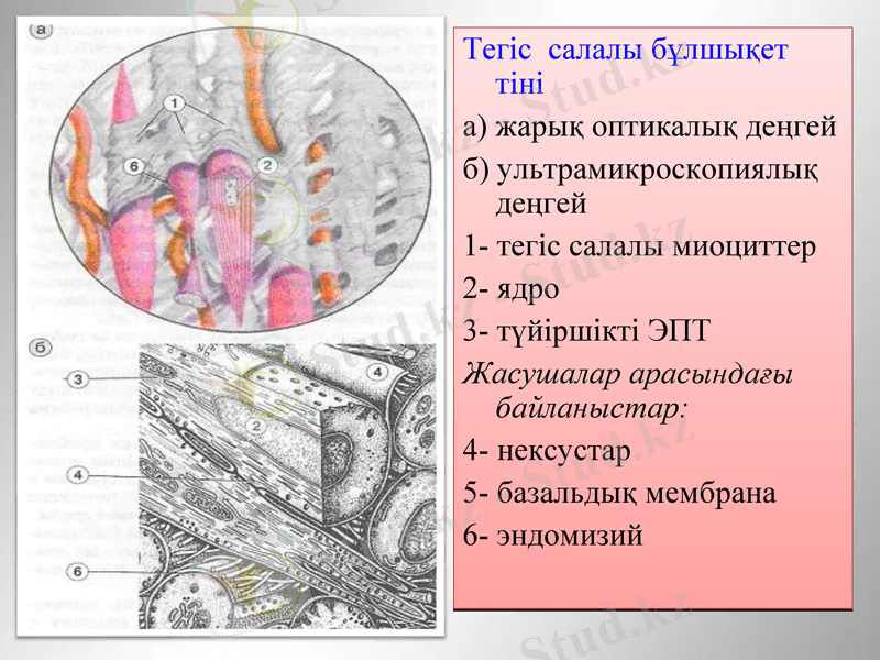 Slide 14